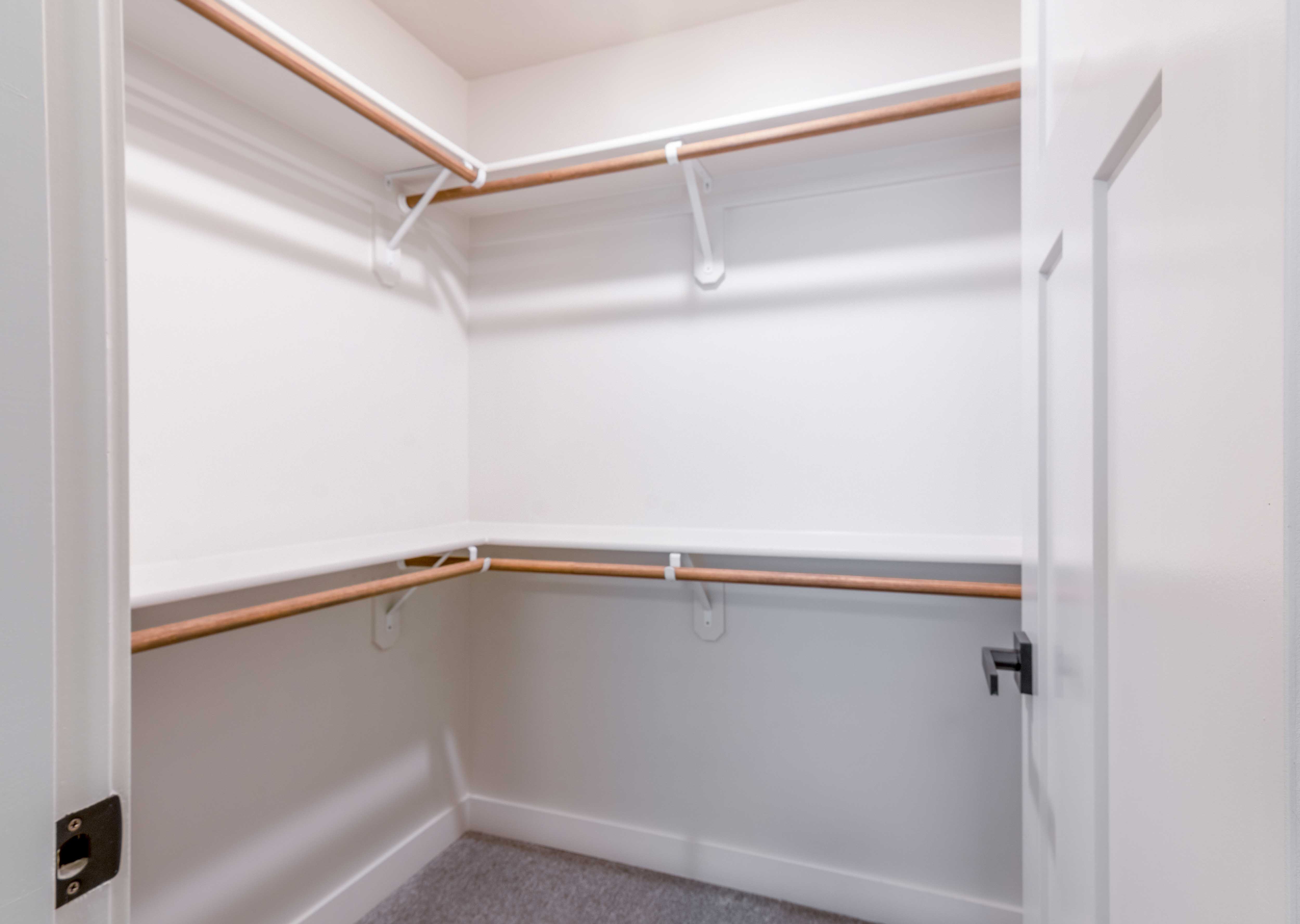 Expansive Closets with custom built-ins