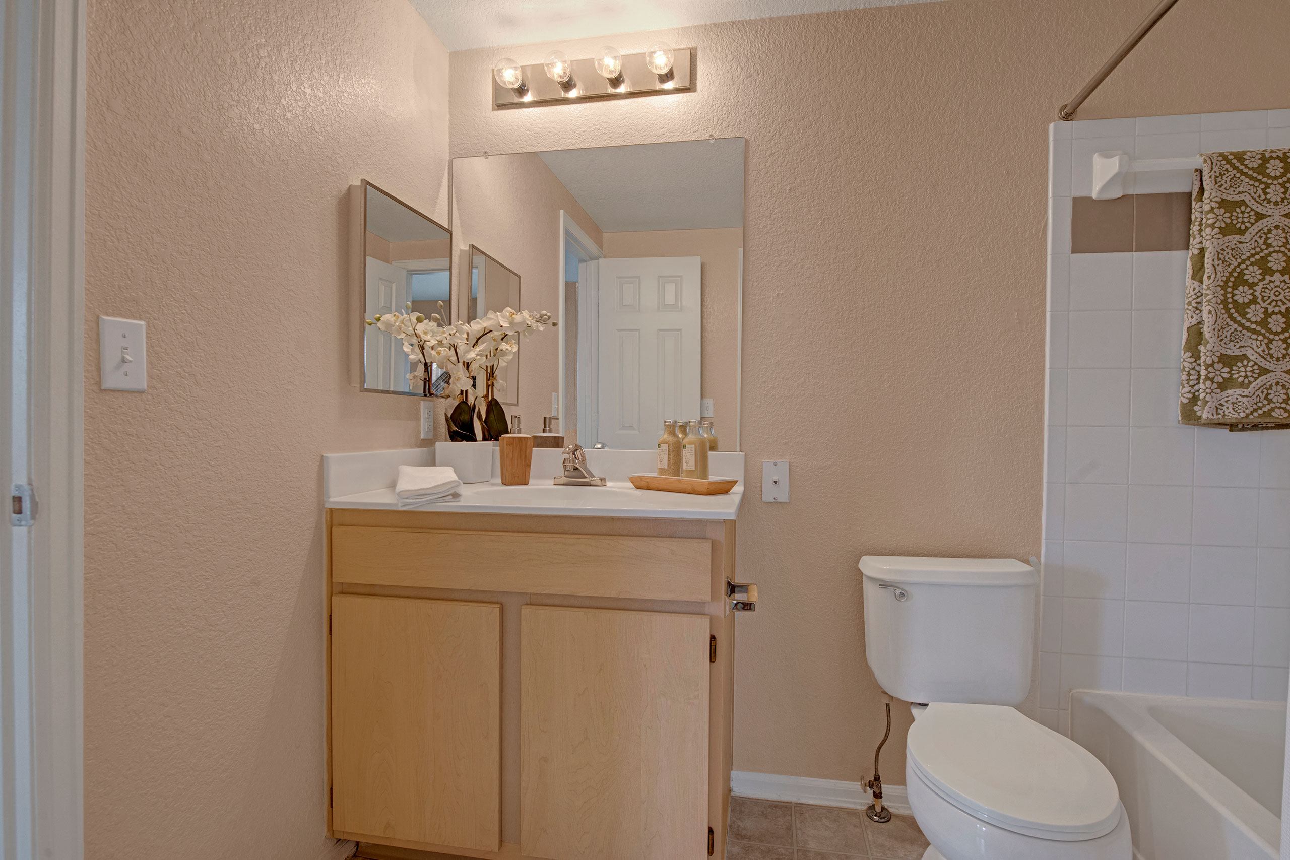 Camelback Pointe Bathroom Sink & Bathtub