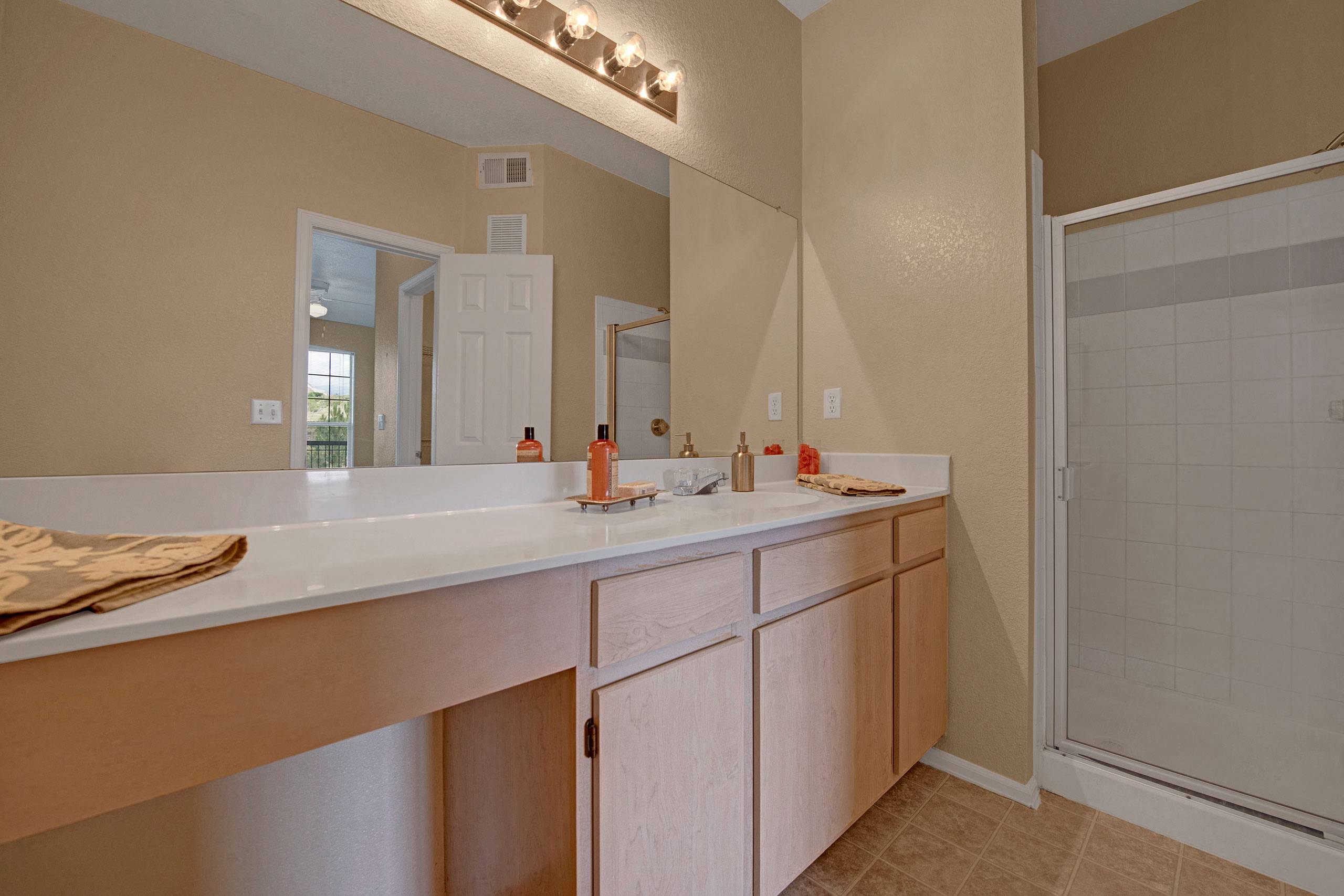 Camelback Pointe Bathroom Sink & Shower