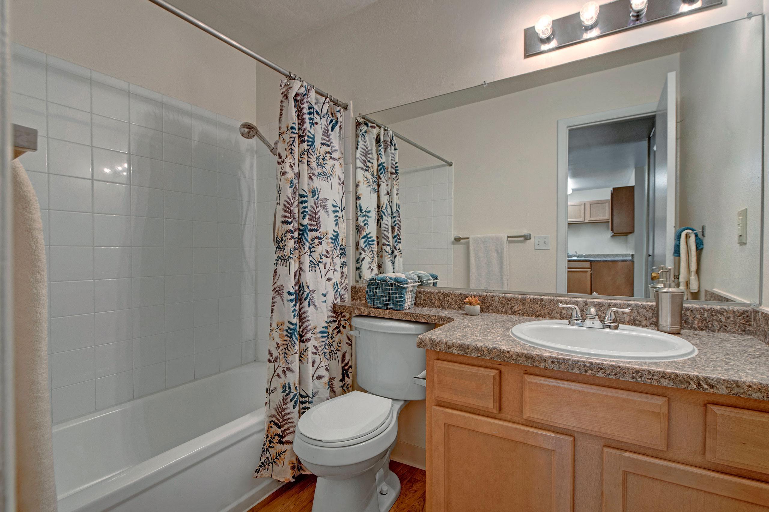 Hyde Park bathroom