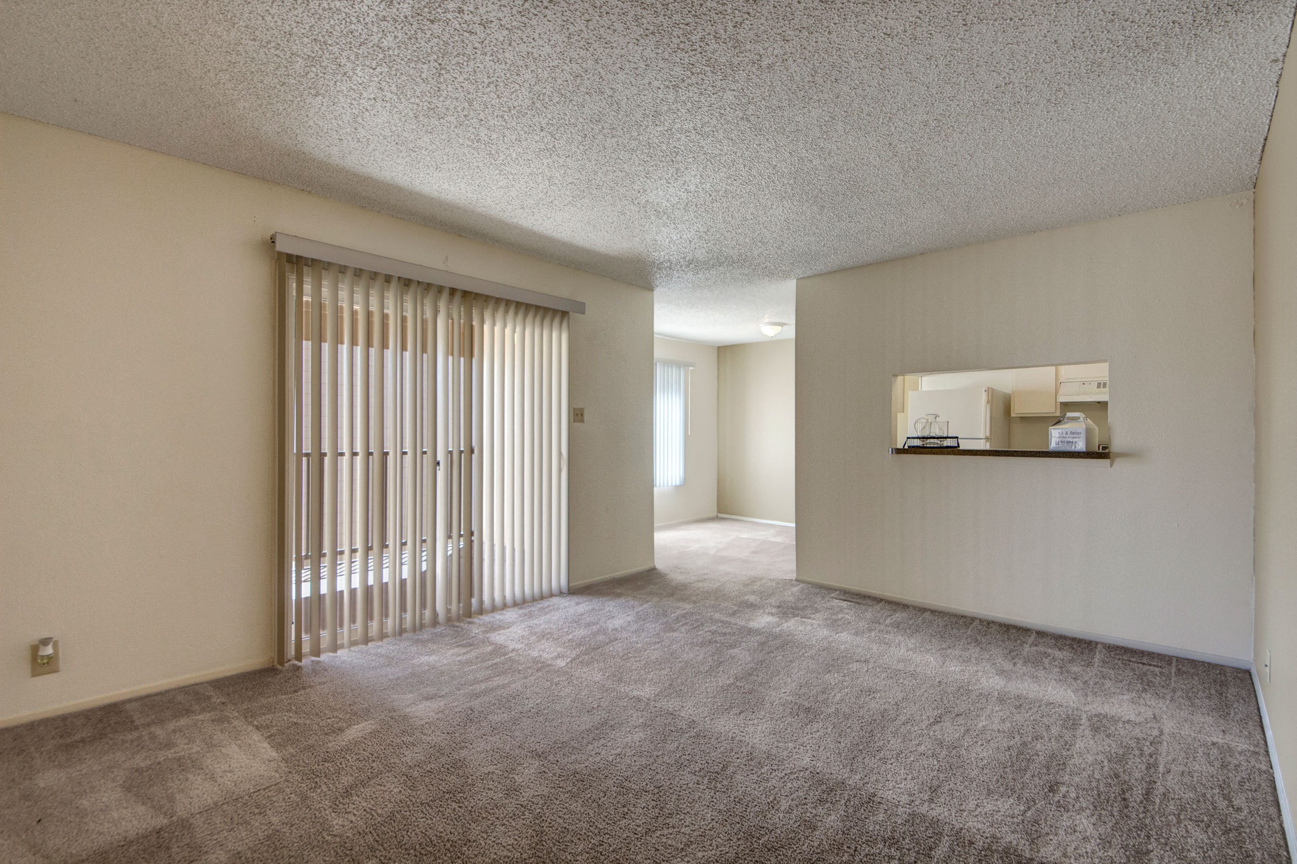 A large living room with sliding glass doors out to the patio and easy access to the kitchen