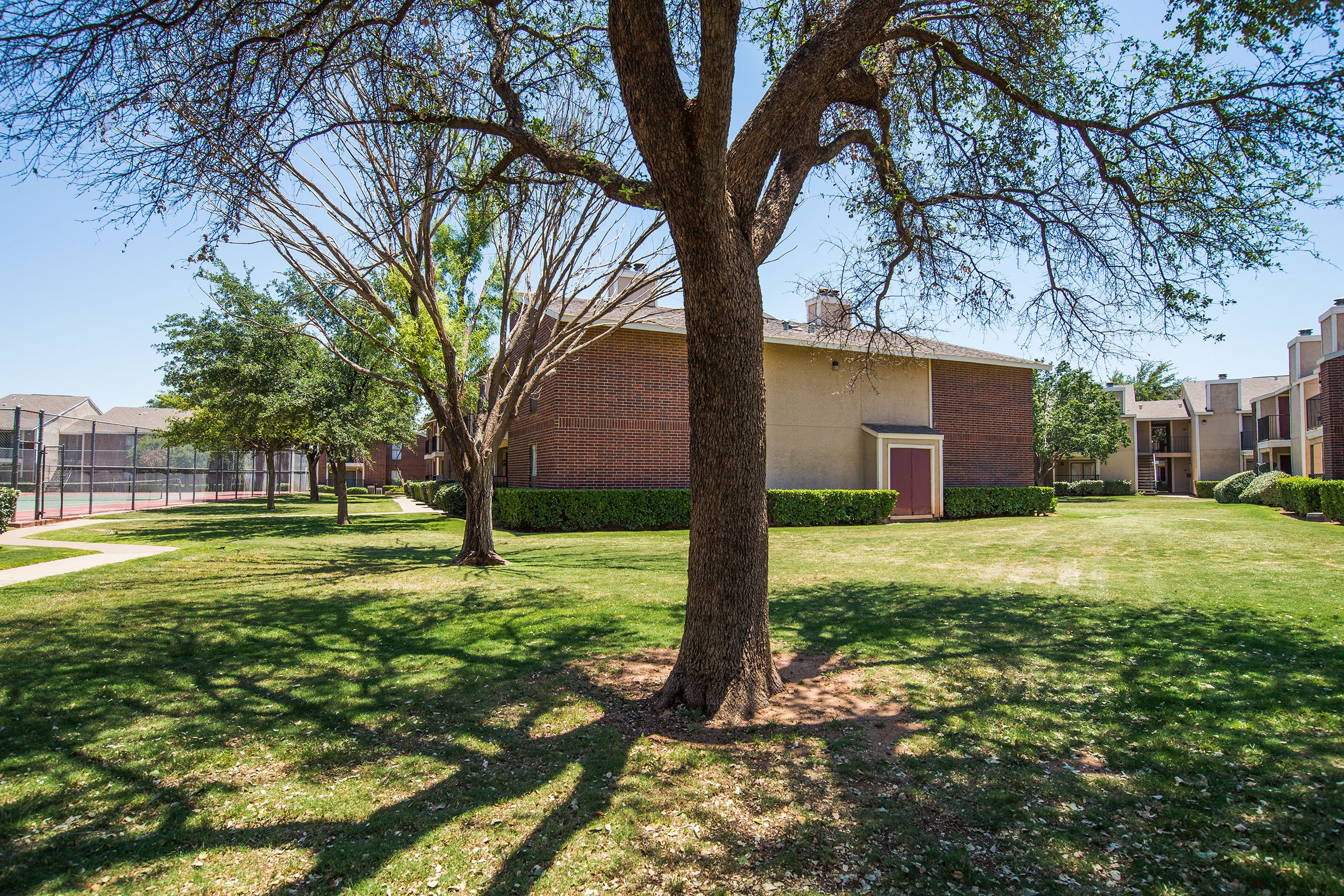 A grassy lawn outside the individual units