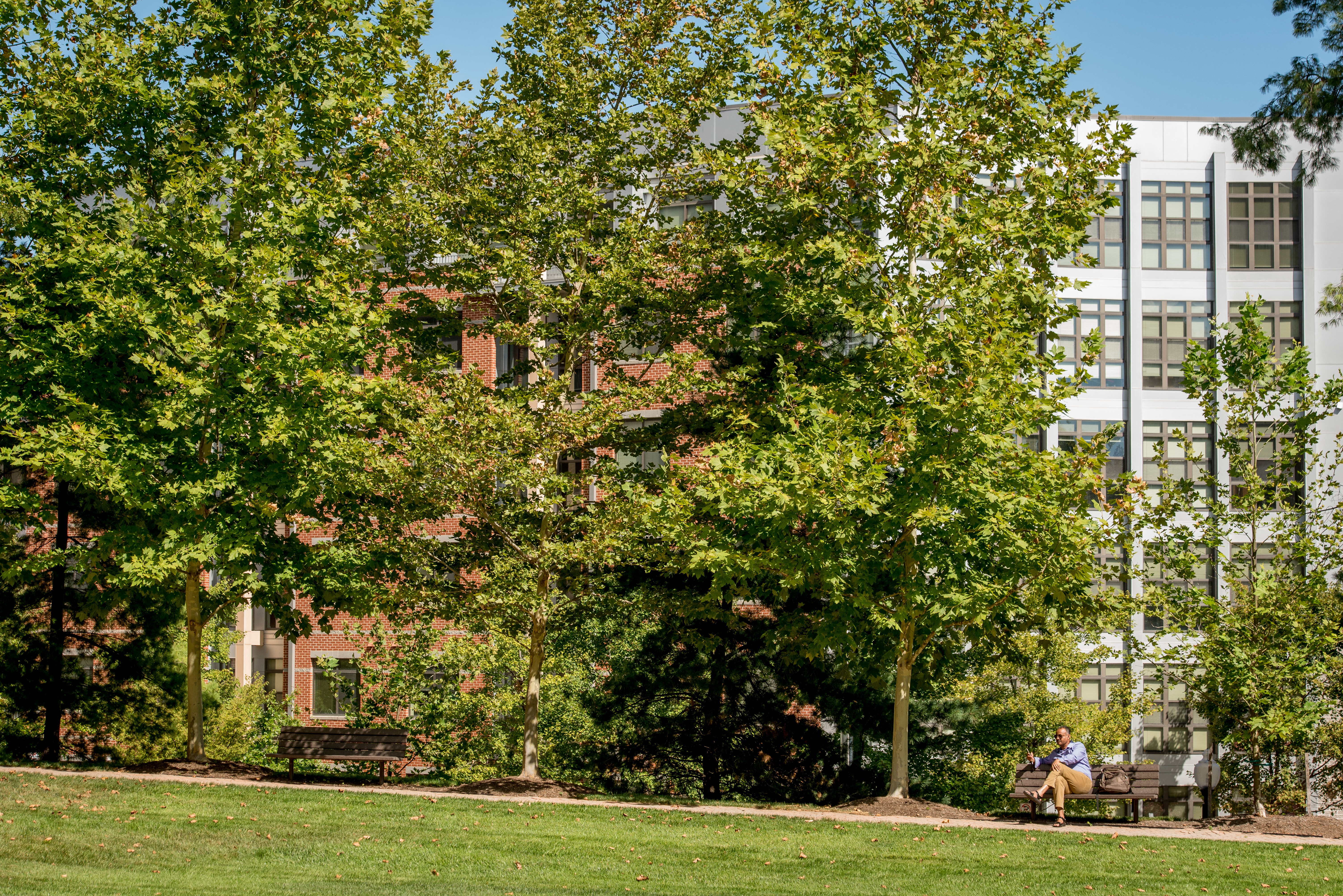Beautiful and well-preserved parks ideal for nature lovers
