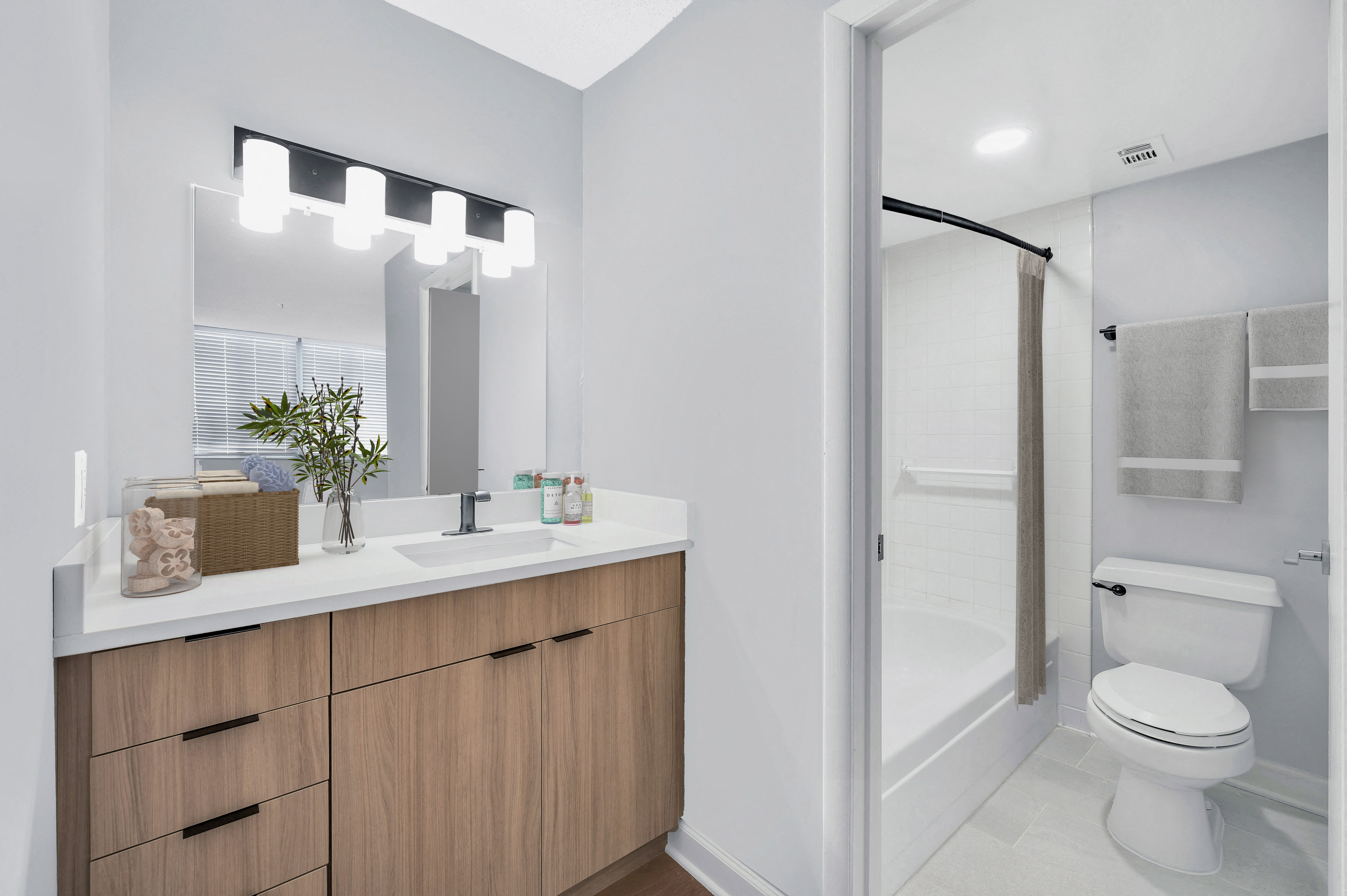 Separate vanity and bathroom Separate vanity and bathroom