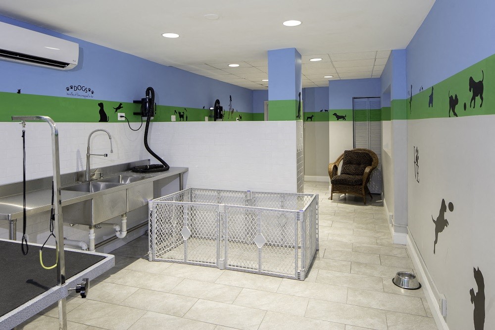 Crystal Plaza Apartments Pet Grooming Station