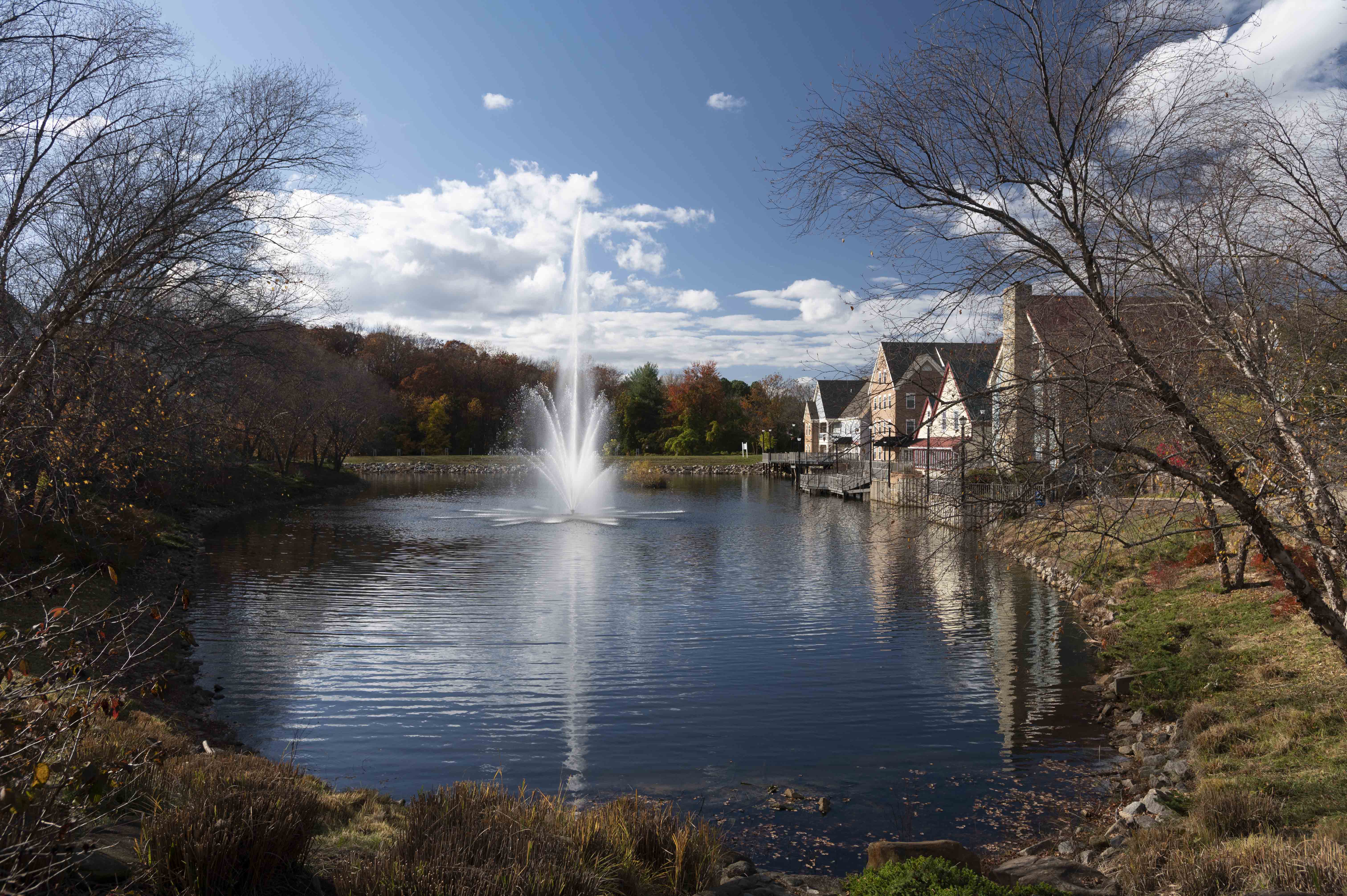 Beautiful outdoor space with walking trails at Tackett's Mill Beautiful outdoor space with walking trails at Tackett's Mill