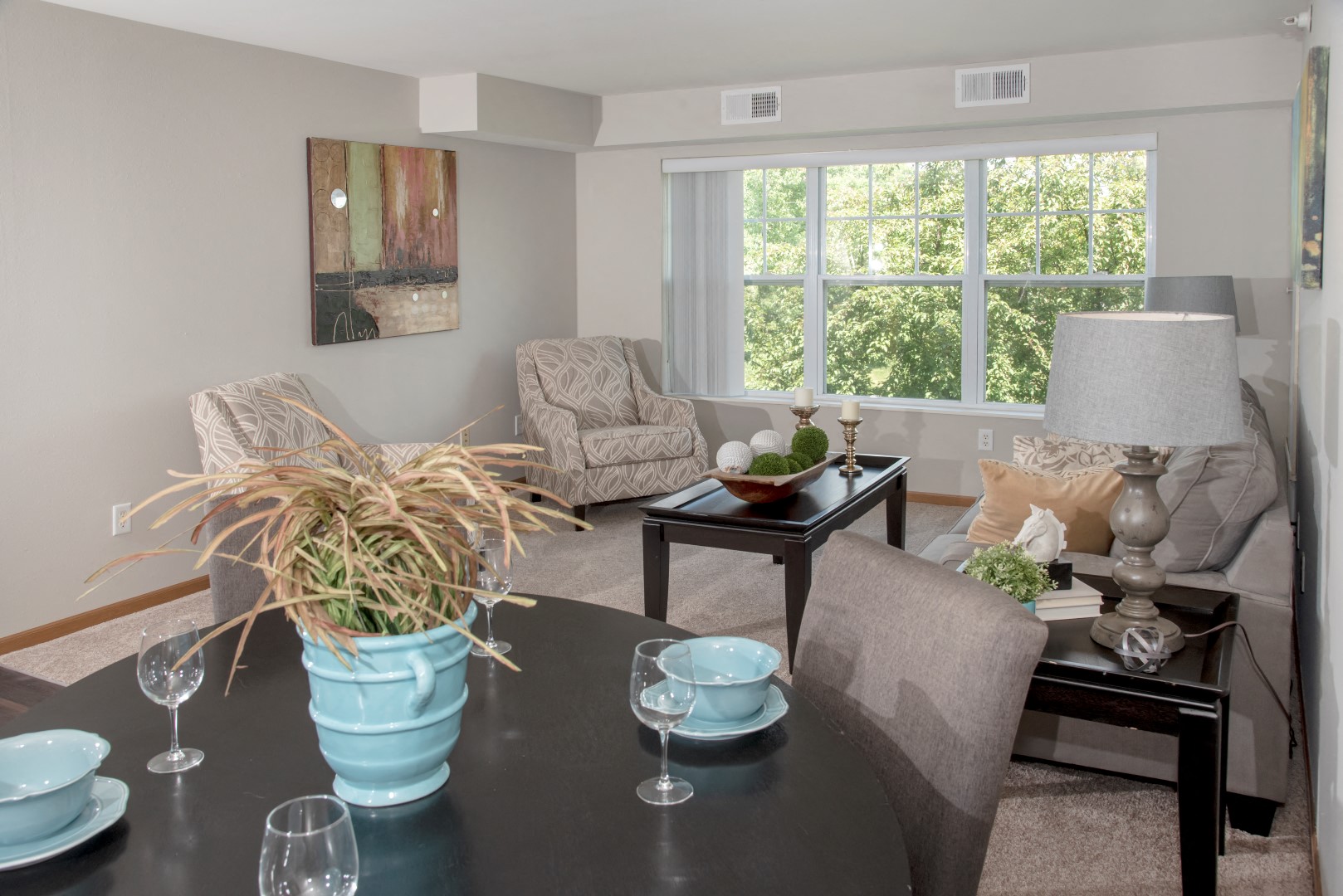 Chaska Place Apartments Image 12