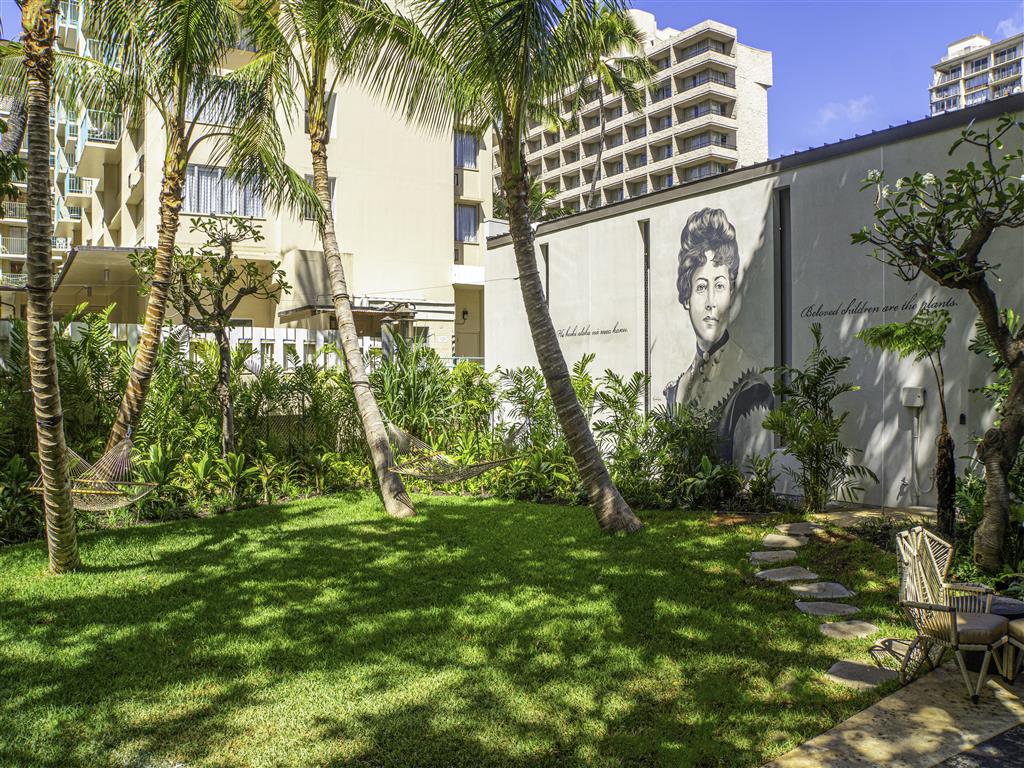Lilia Waikiki 1