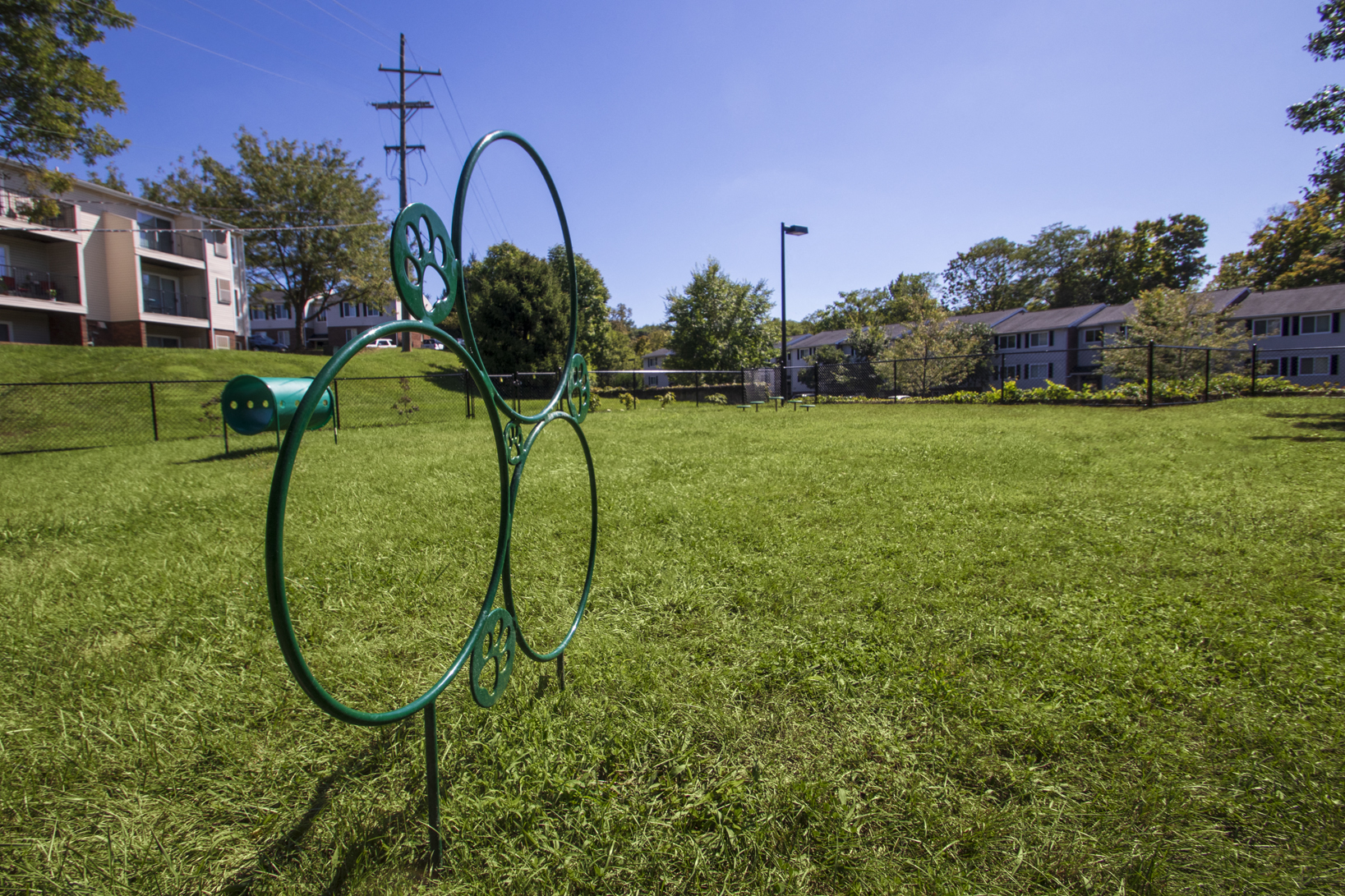 Deer Hill Image 63