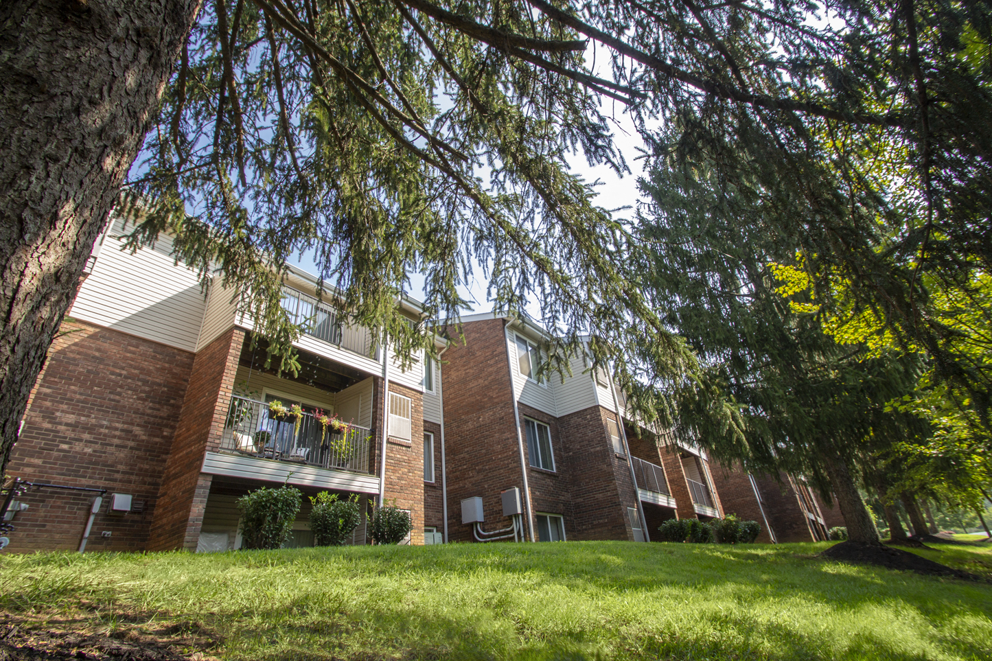 Deer Hill Image 72