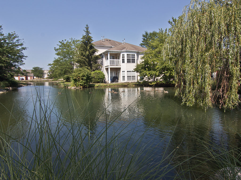 Lake Views