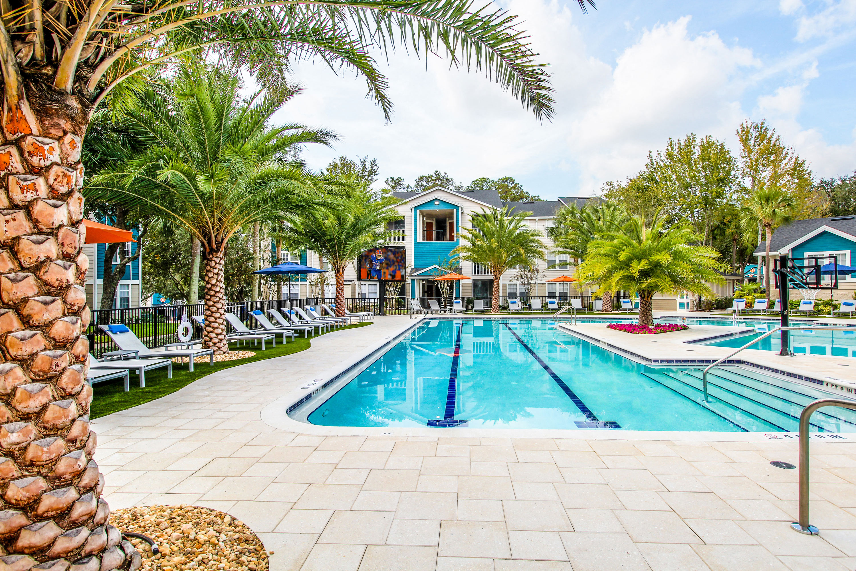 The Niche Student Apartments Apartments for Rent in New Photos, prices