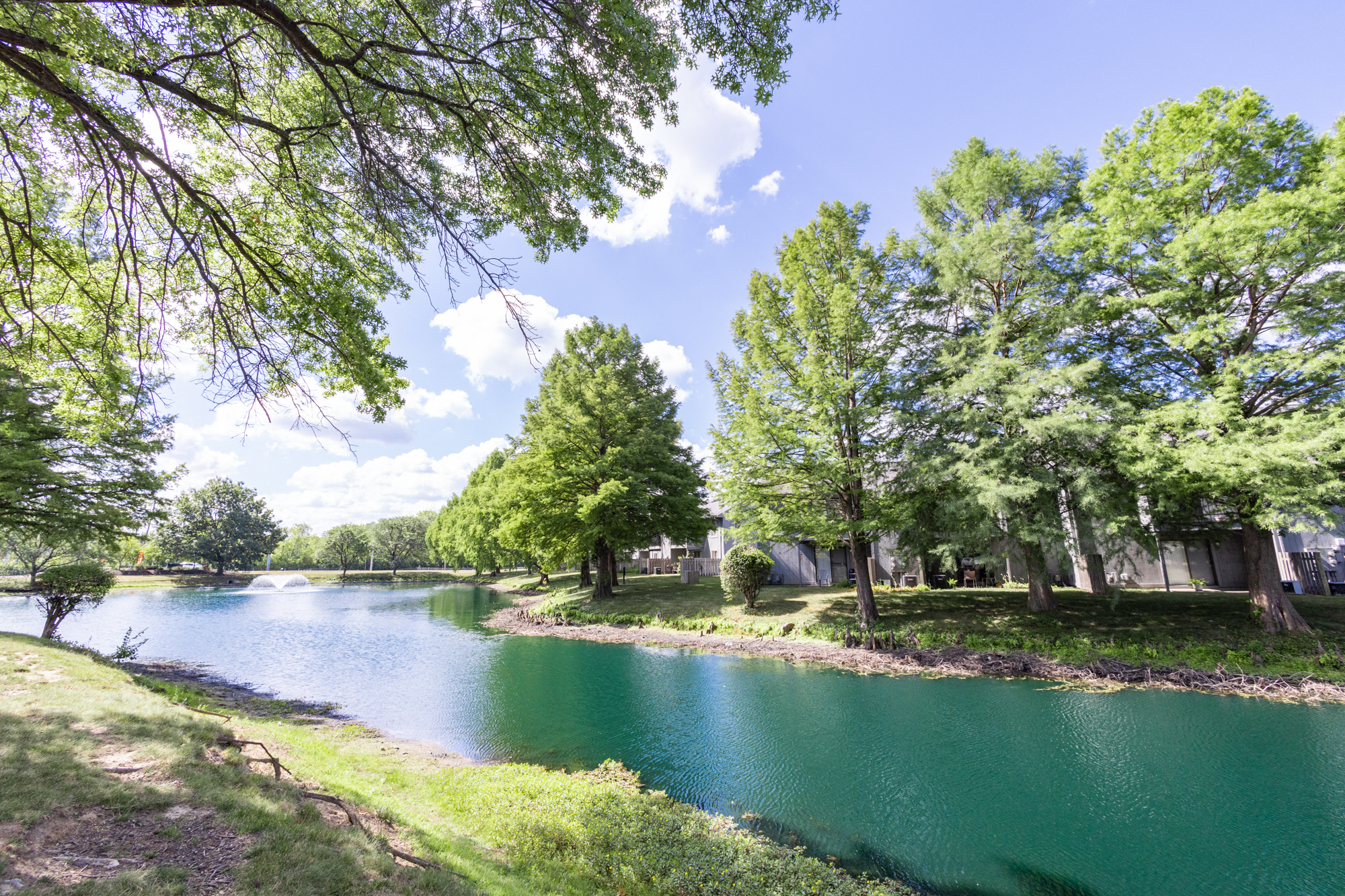Tranquil Pond at Woodlake Apartments