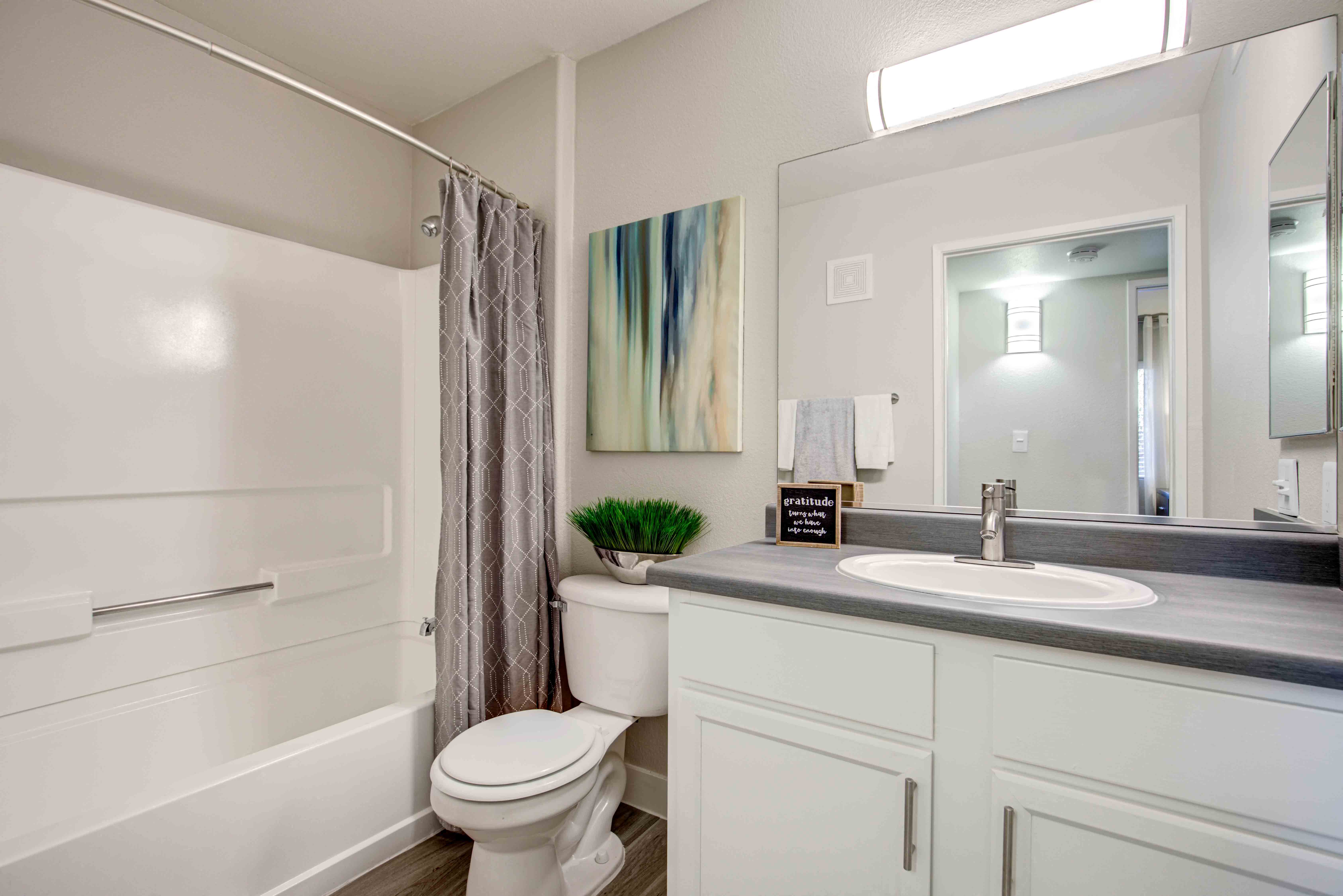 Upgraded Bathroom
