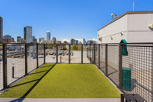 Jack Apartments Image 9