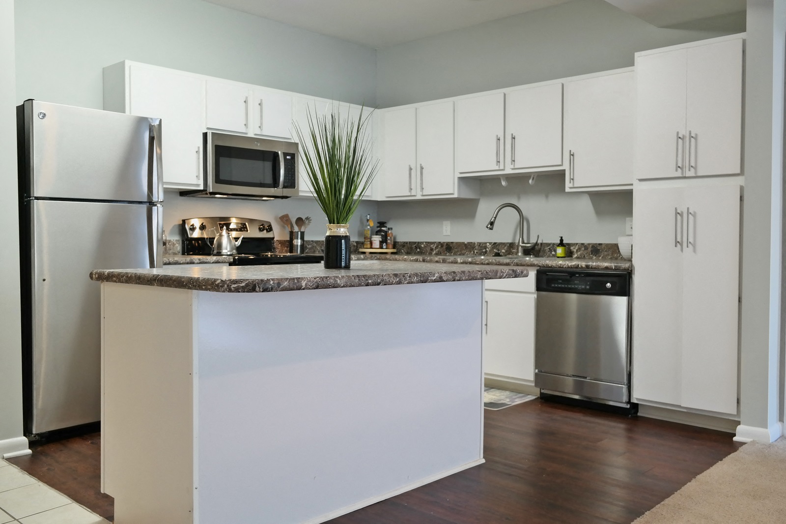 Large Open Concept