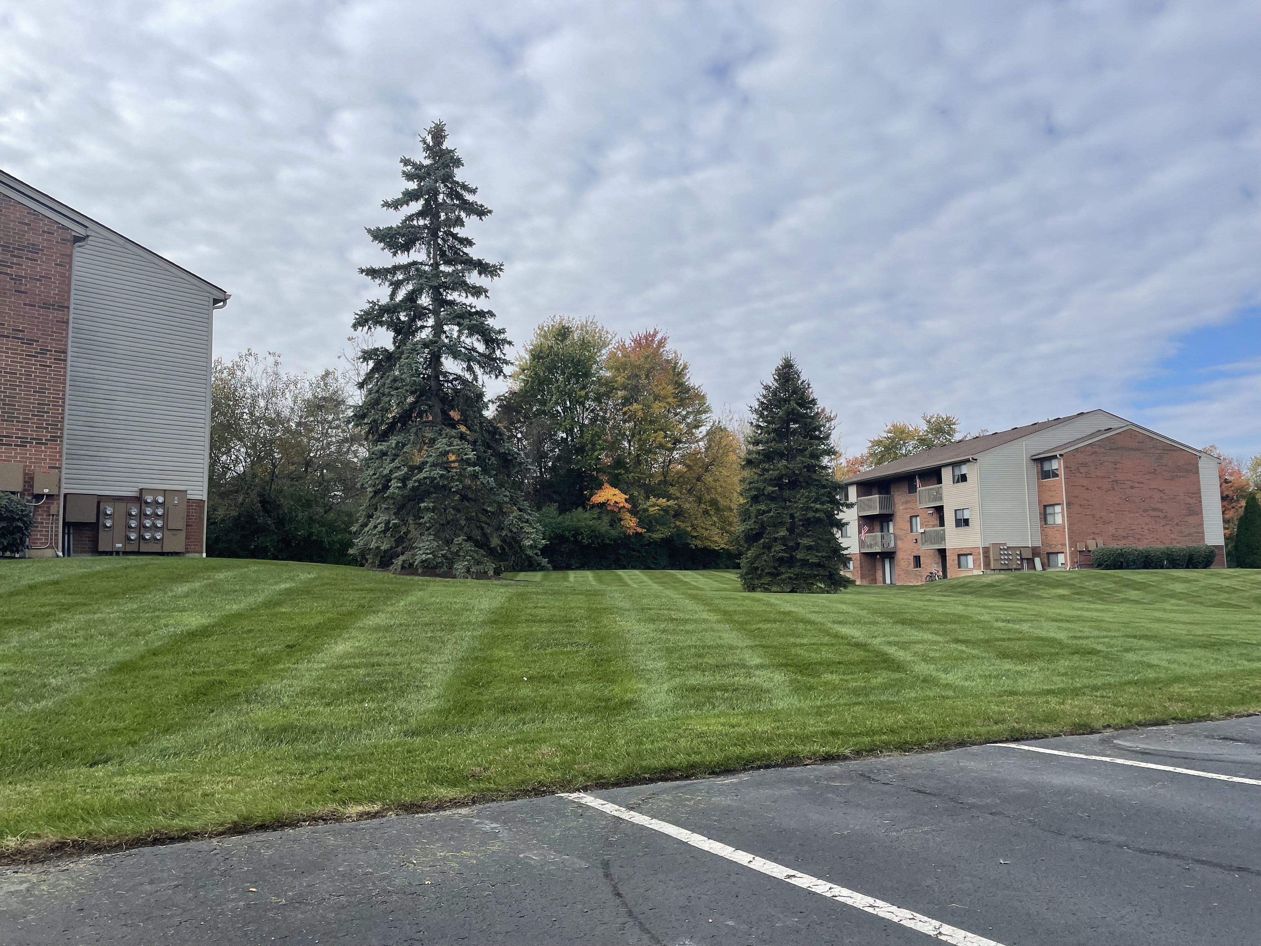 Timber Glen Apartments Image 59