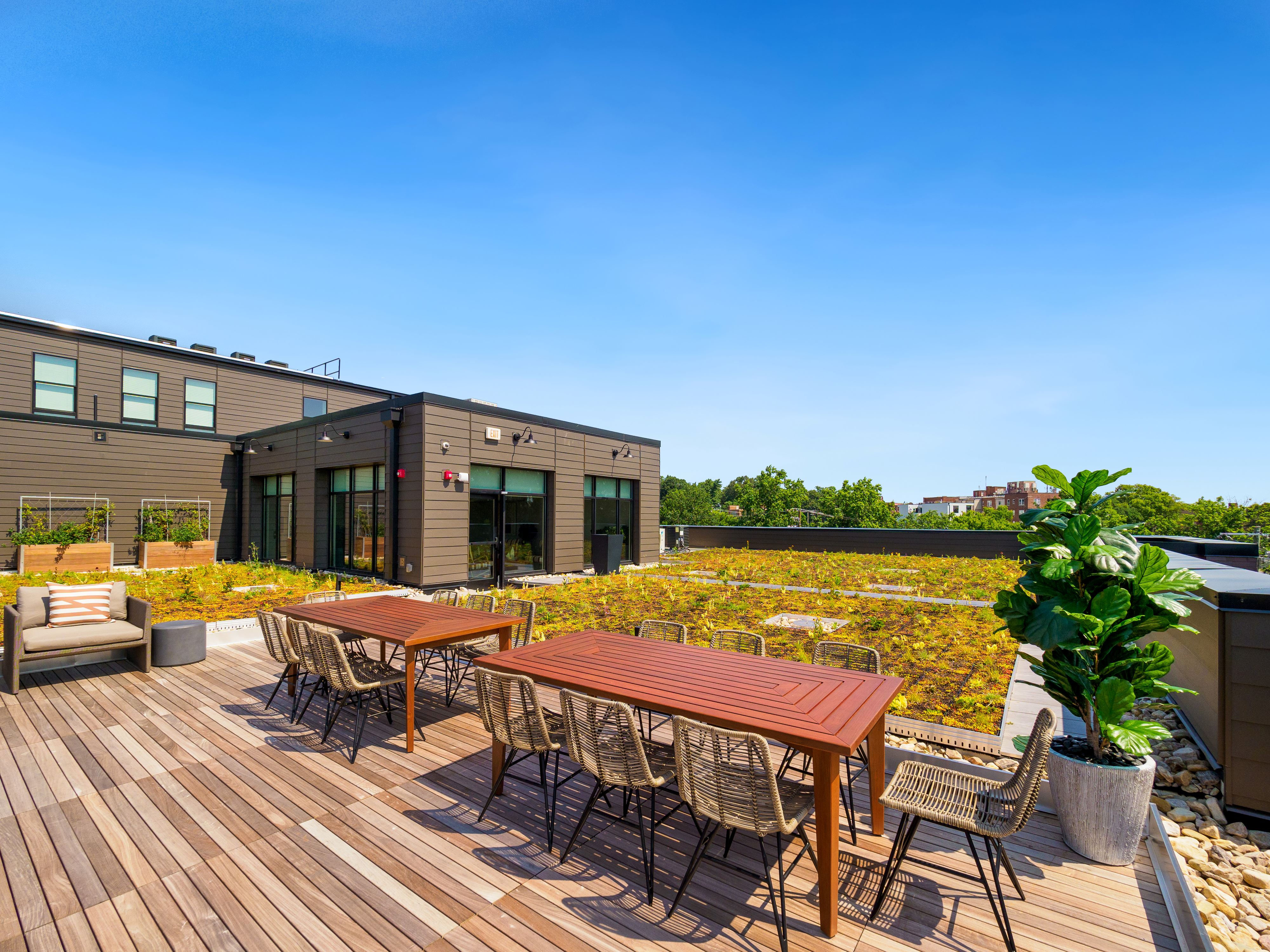 washington-42 washington-42