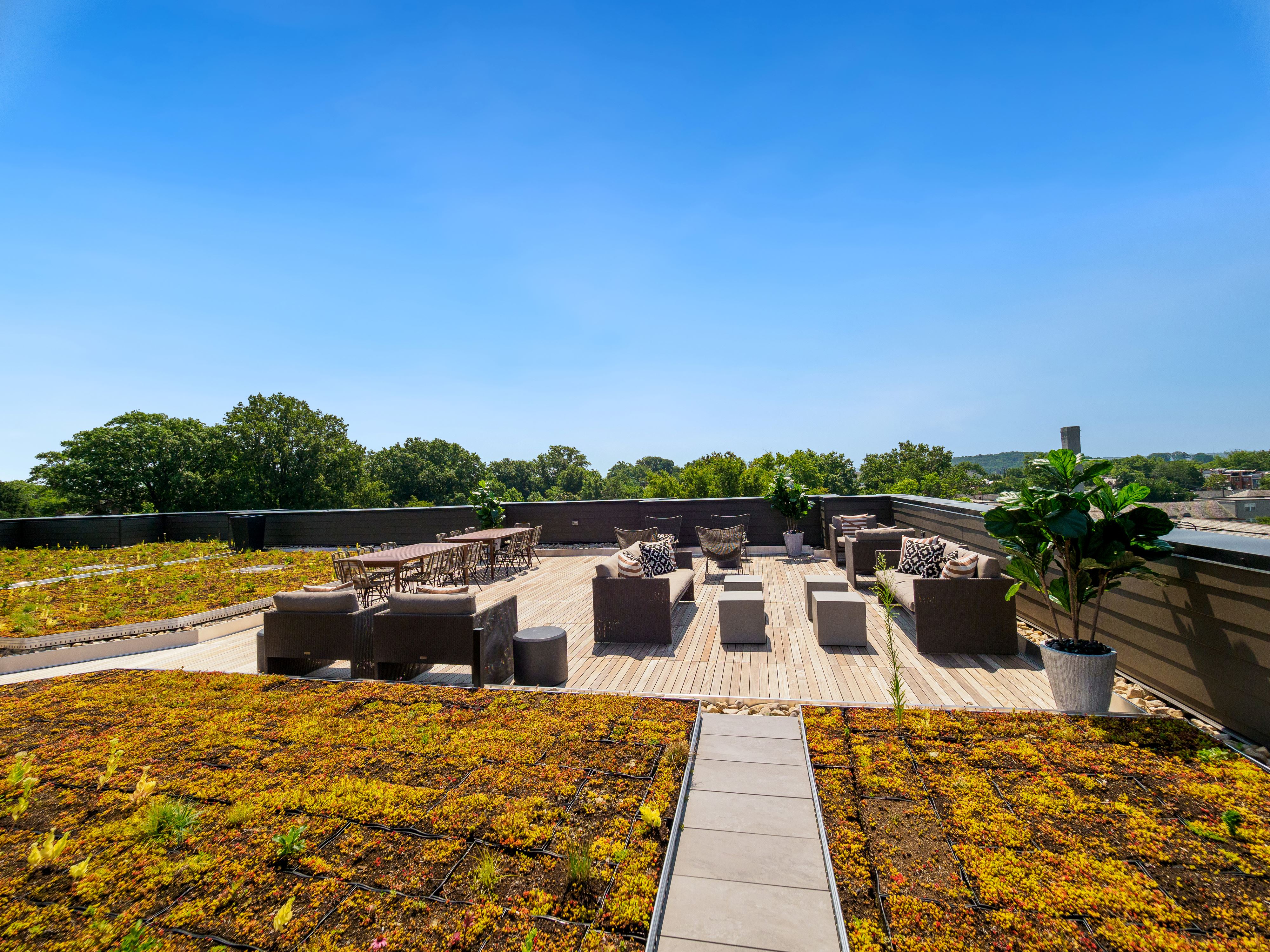 washington-44 washington-44