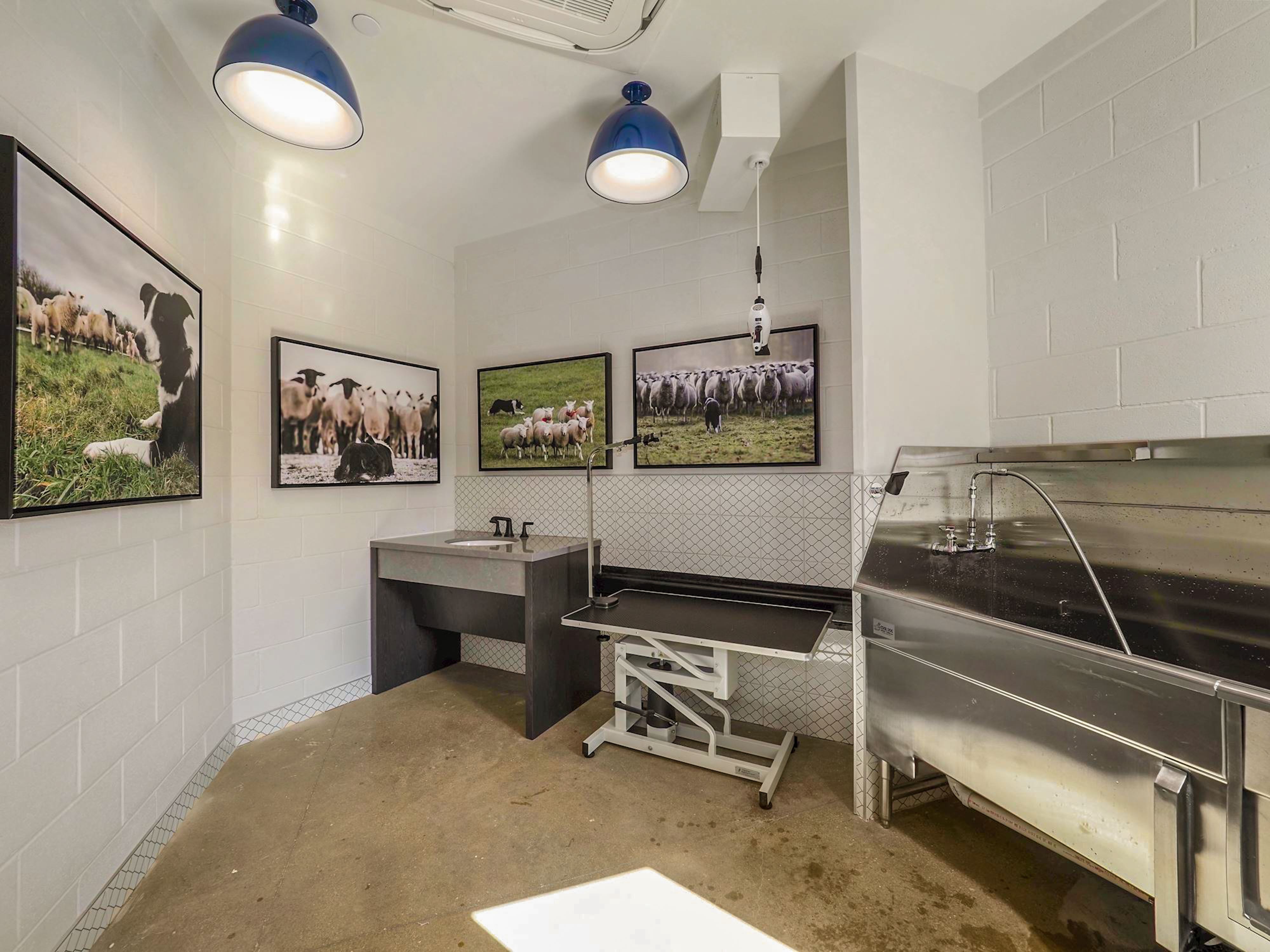 washington-34 washington-34