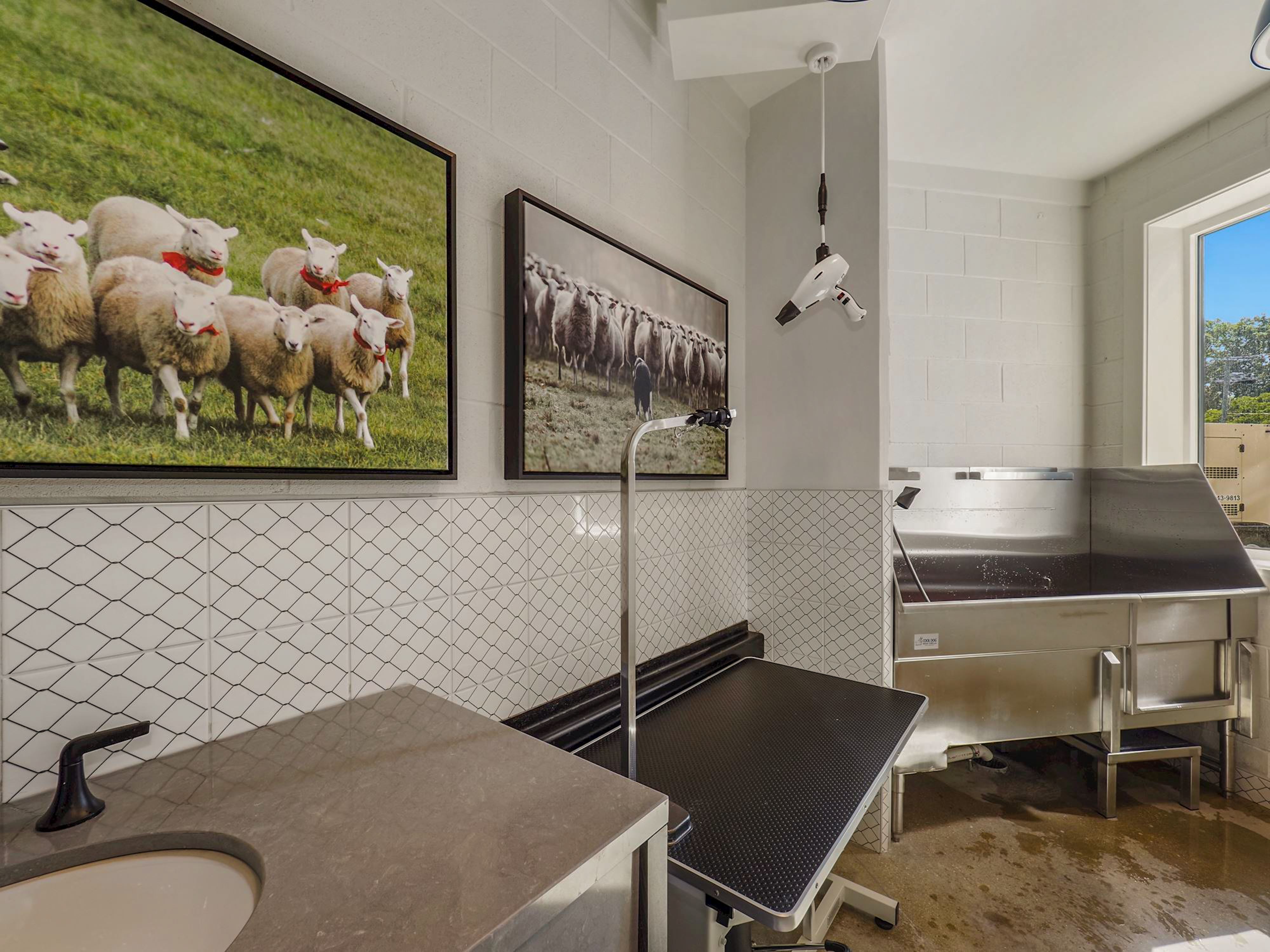 washington-33 washington-33