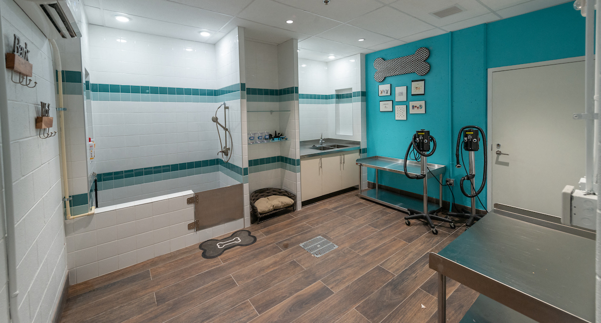 Pet Spa and Pampering Station Pet Spa and Pampering Station