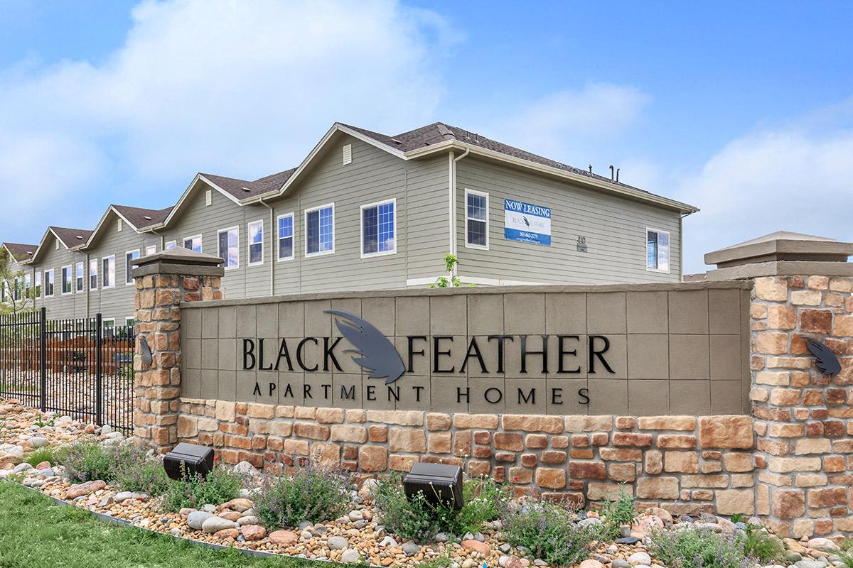 Black Feather Apartment Homes Image 25