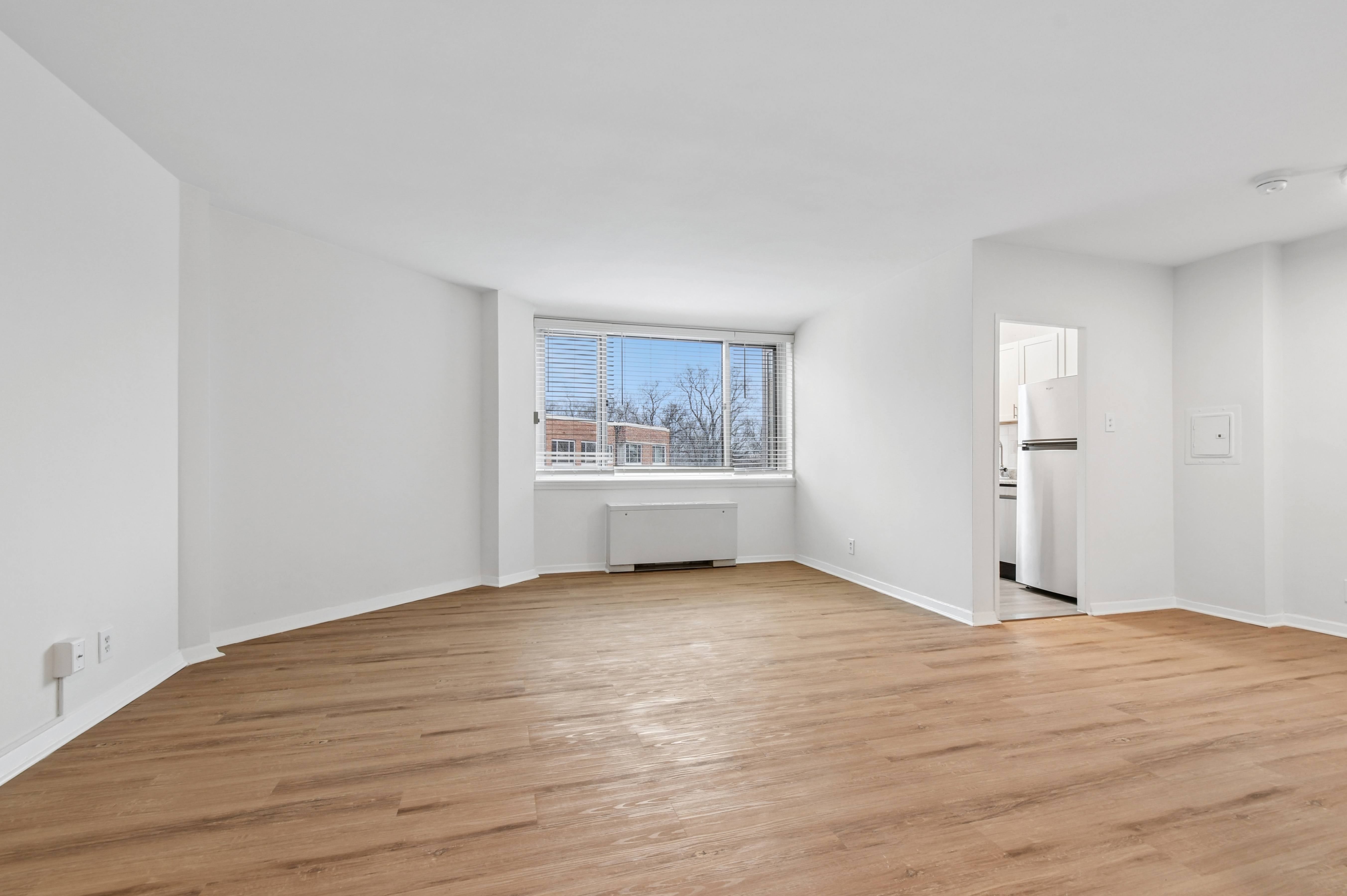Studio D living/bedroom