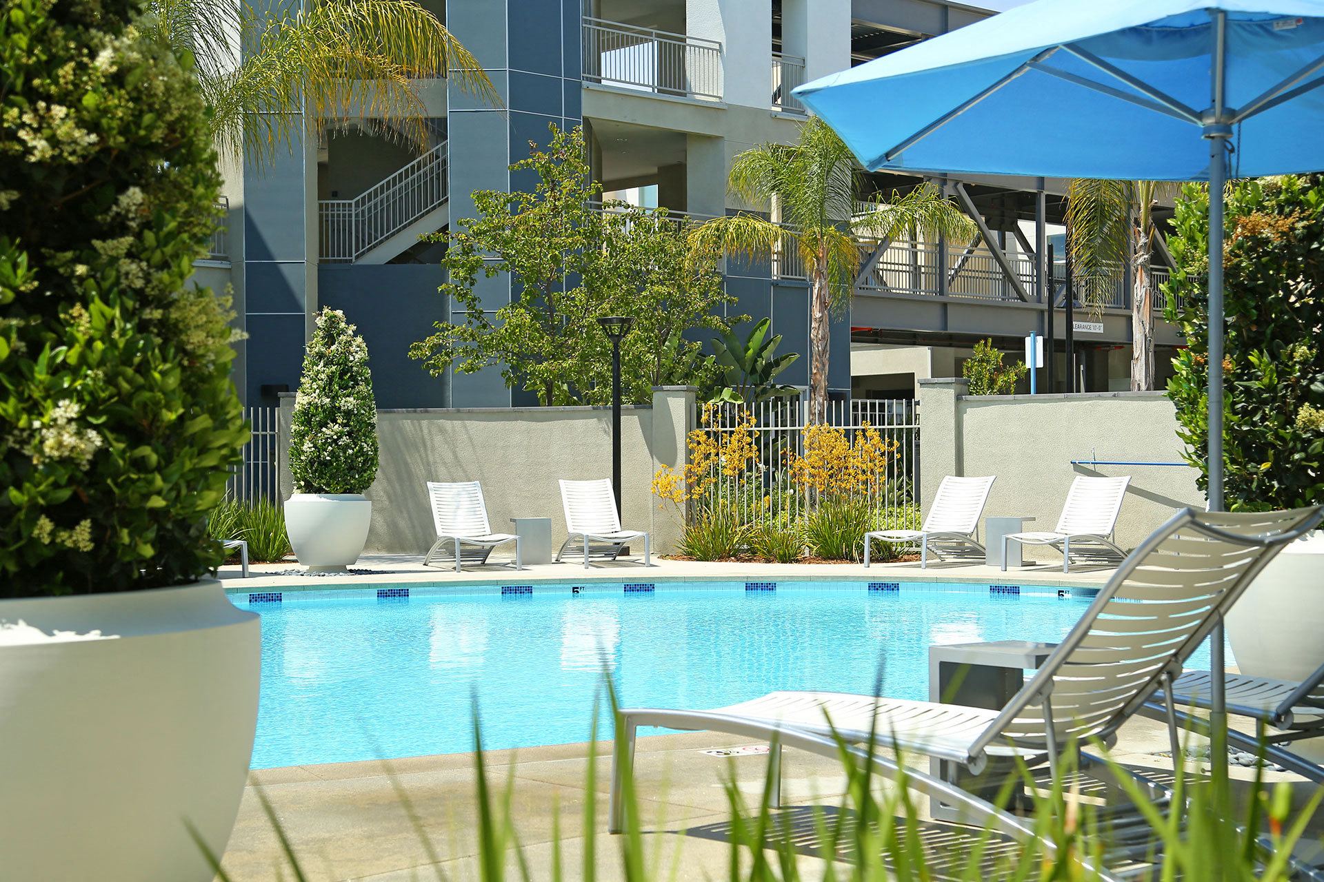 Pool Lounge