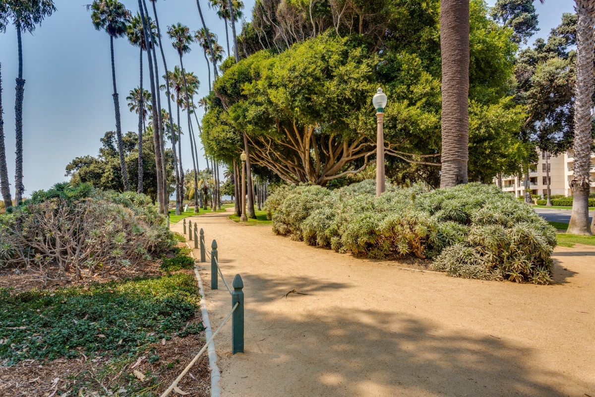 Ocean Palms and Palisades Image 35