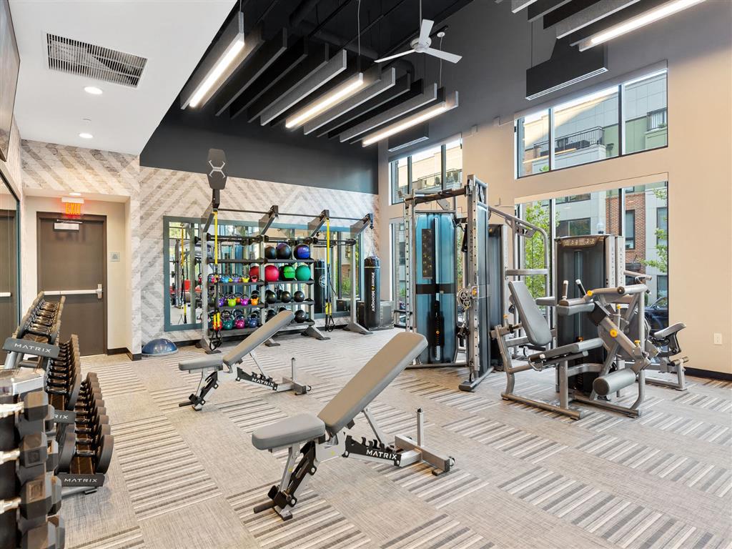 Fitness Center Strength and Conditioning Equipment Fitness Center Strength and Conditioning Equipment