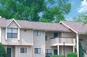 Deerwood Meadows Background Image 13