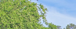 Windsor Landing Apartments Reviews Windsor Landing Apartments Reviews