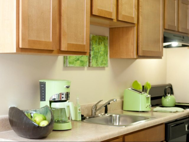 Fully-equipped kitchens with dishwashers