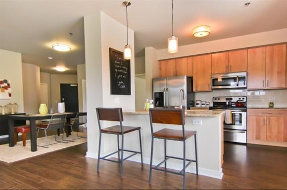 Open kitchen layouts