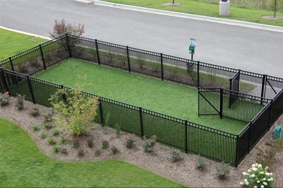 Spacious dog run
