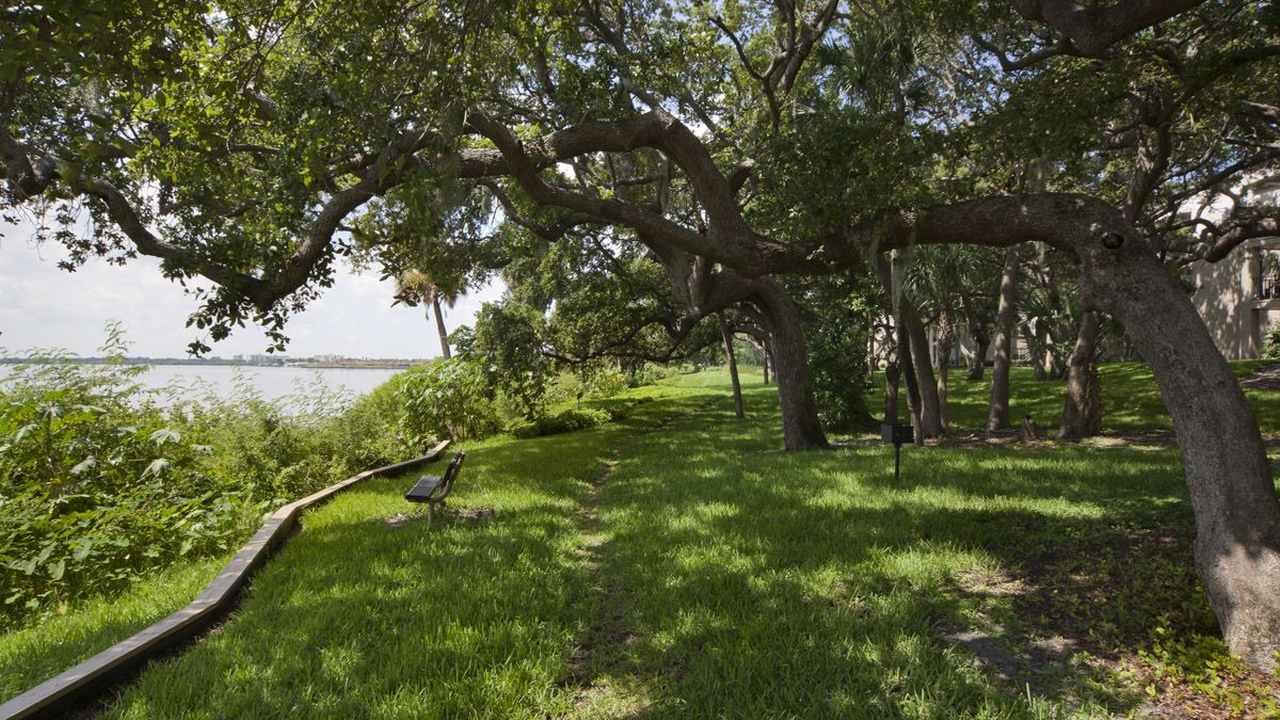 Bayside Arbors Image 33
