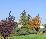 Missions At Chino Hills Apartments In Chino Hills Ca