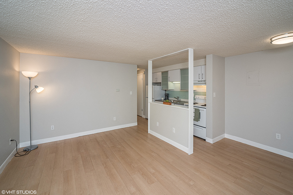 805 Dahlia Image 12