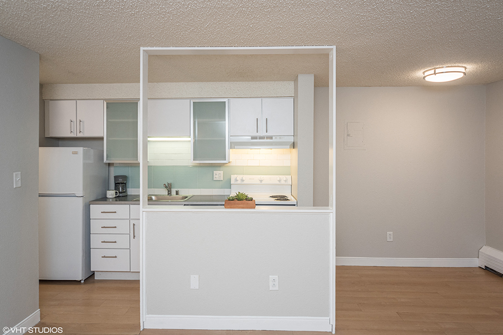 805 Dahlia Image 15