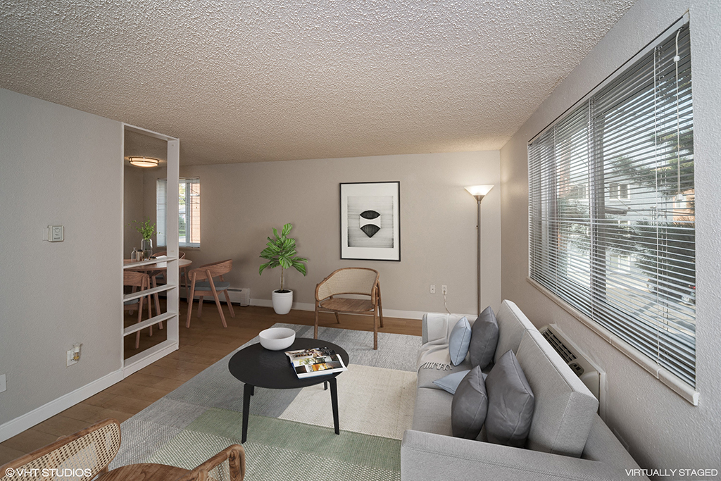 805 Dahlia Image 16