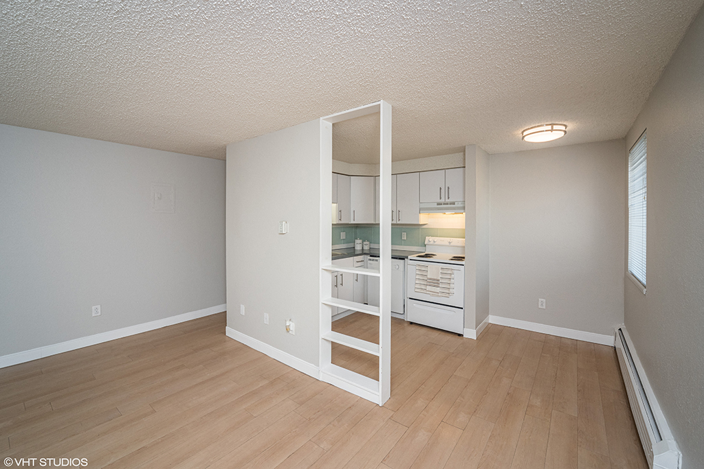 805 Dahlia Image 14