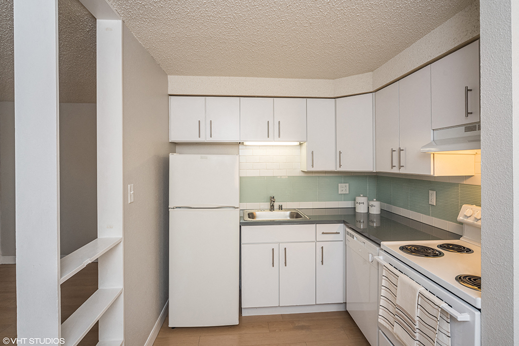 805 Dahlia Image 9