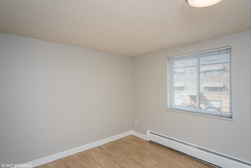 805 Dahlia Image 17
