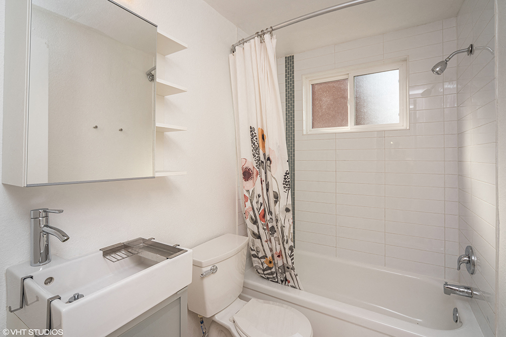 805 Dahlia Image 19