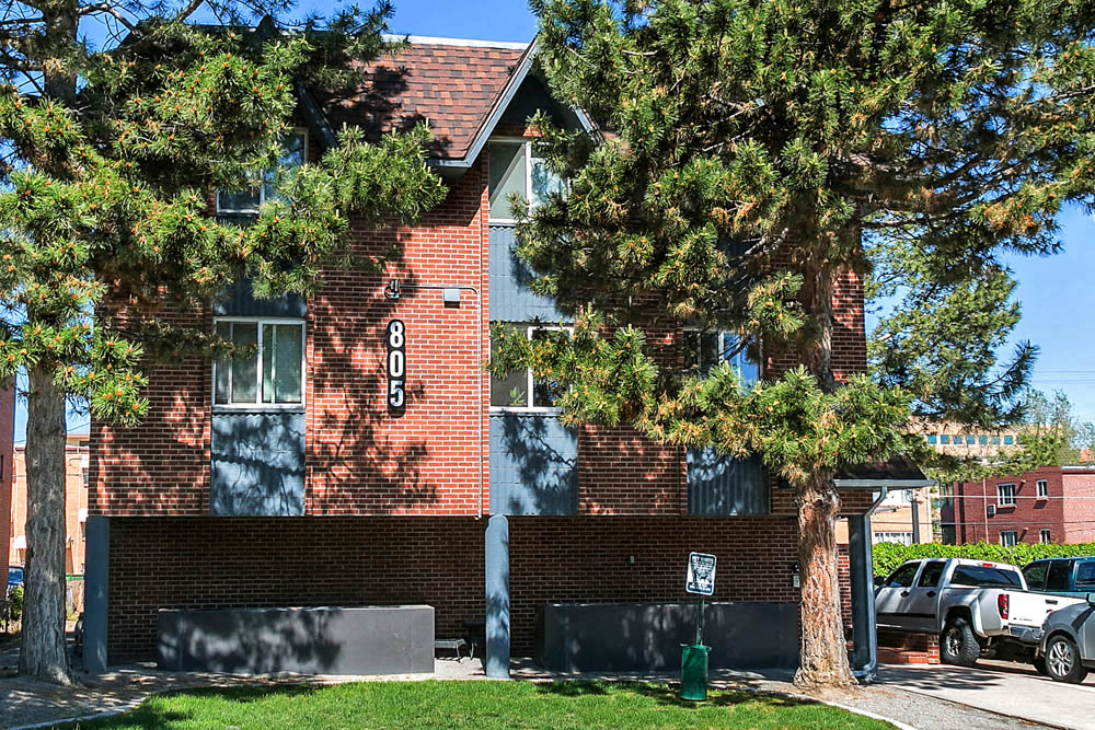 805 Dahlia Image 1