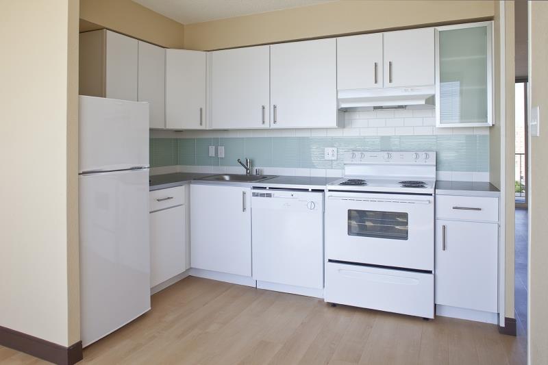 825 Dahlia Image 14