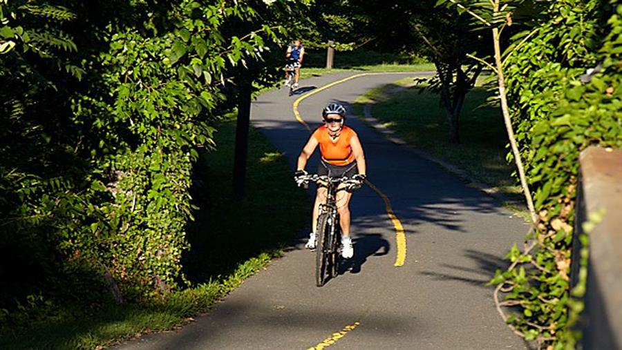Nearby Custis and Four Mile Run Trails Nearby Custis and Four Mile Run Trails