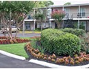 Northshore Meadows, Houston, TX