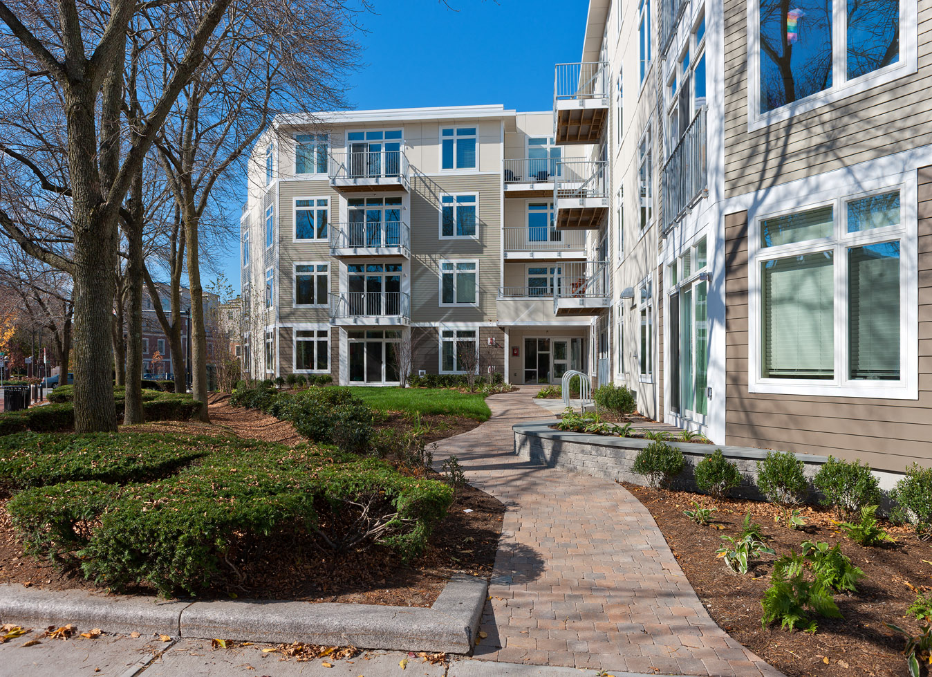 7 Cameron Apartments Image 2